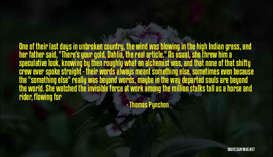 Among The Hidden Quotes By Thomas Pynchon