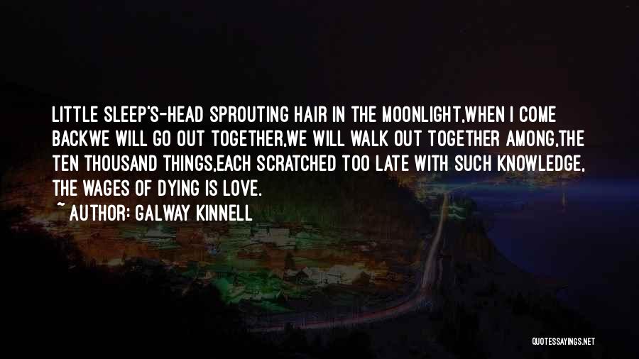 Among The Sleep Quotes By Galway Kinnell