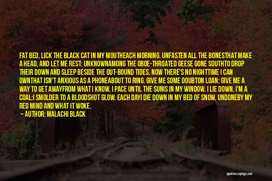 Among The Sleep Quotes By Malachi Black