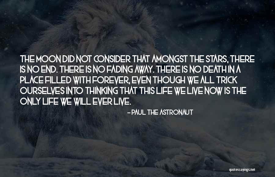 Amongst The Stars Quotes By Paul The Astronaut Amongst The Stars Quotes By Paul The Astronaut