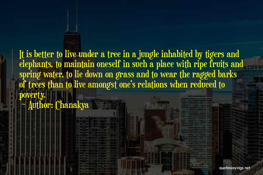 Amongst The Trees Quotes By Chanakya