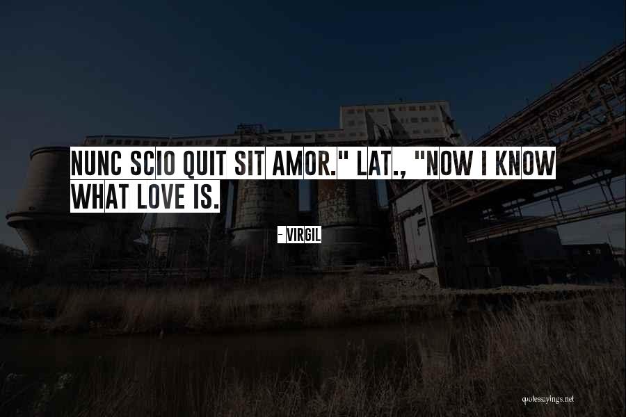 Amor Quotes By Virgil