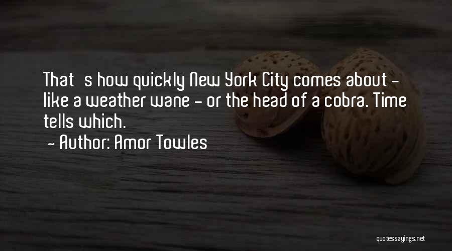 Amor Towles Quotes 524865