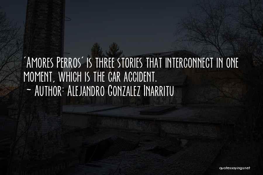 Amores Perros Quotes By Alejandro Gonzalez Inarritu