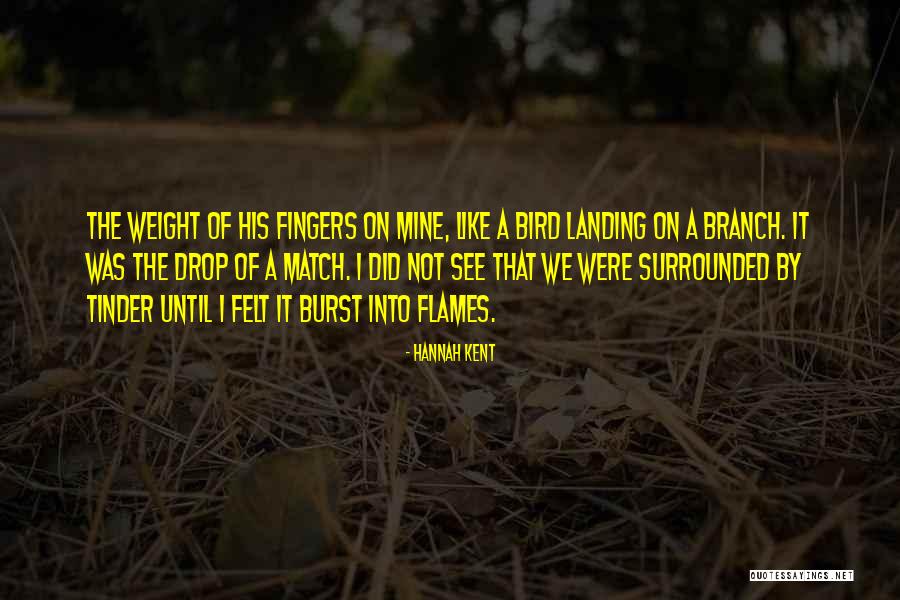 Amoretti Martini Quotes By Hannah Kent Amoretti Martini Quotes By Hannah Kent