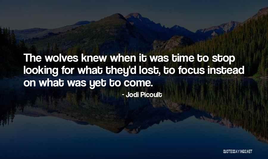 Amorfada Quotes By Jodi Picoult Amorfada Quotes By Jodi Picoult
