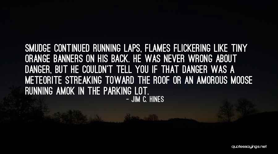 Amorous Quotes By Jim C. Hines Amorous Quotes By Jim C. Hines