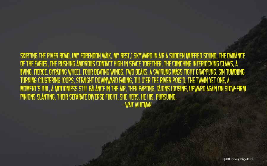 Amorous Quotes By Walt Whitman Amorous Quotes By Walt Whitman
