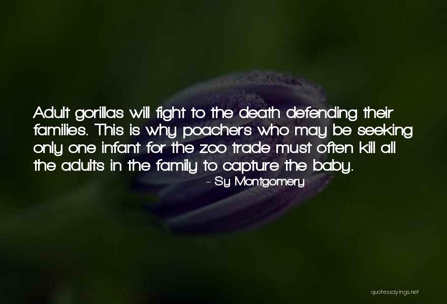 Amorteala La Quotes By Sy Montgomery Amorteala La Quotes By Sy Montgomery