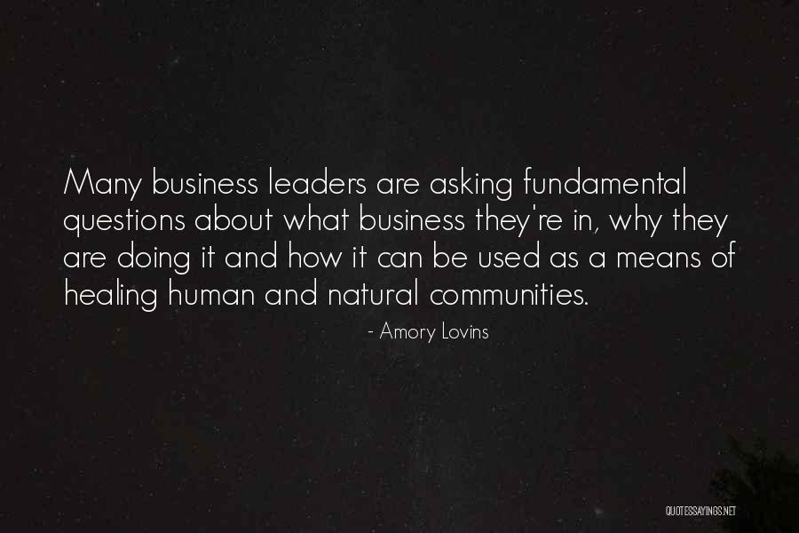 Amory Lovins Quotes 460683