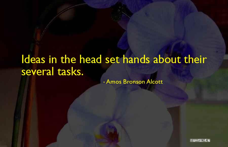 Amos Alcott Quotes By Amos Bronson Alcott