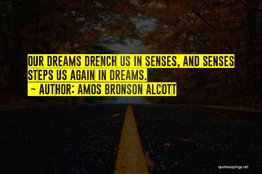 Amos Bronson Alcott Quotes 1175364