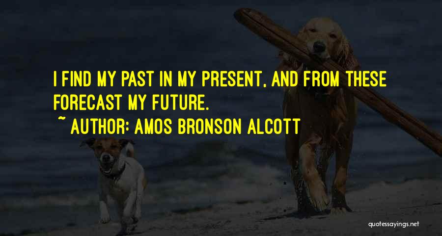 Amos Bronson Alcott Quotes 1740684