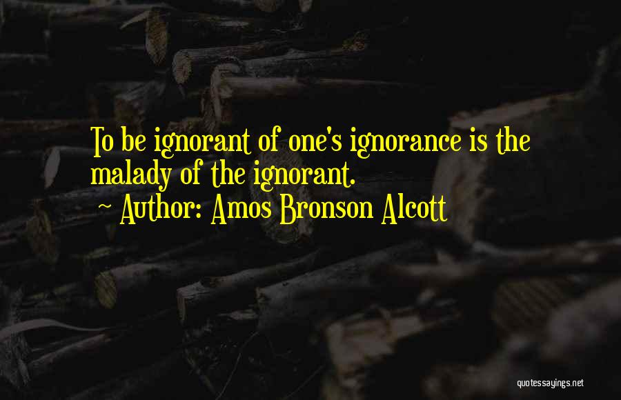 Amos Bronson Alcott Quotes 193134