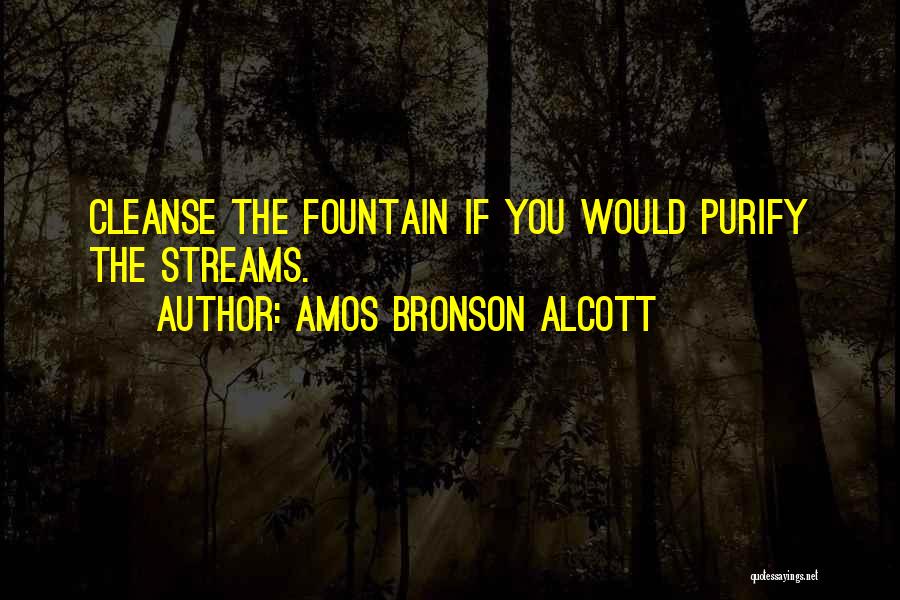 Amos Bronson Alcott Quotes 745488