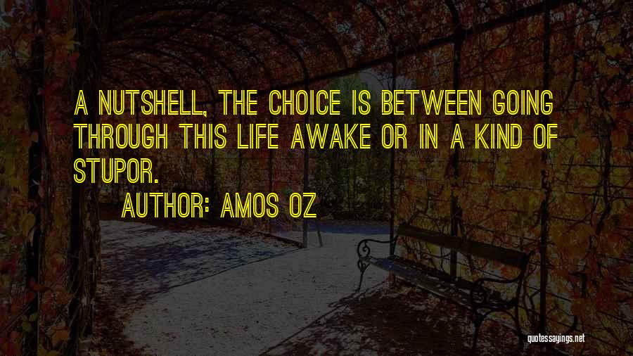 Amos Oz Quotes 1933255