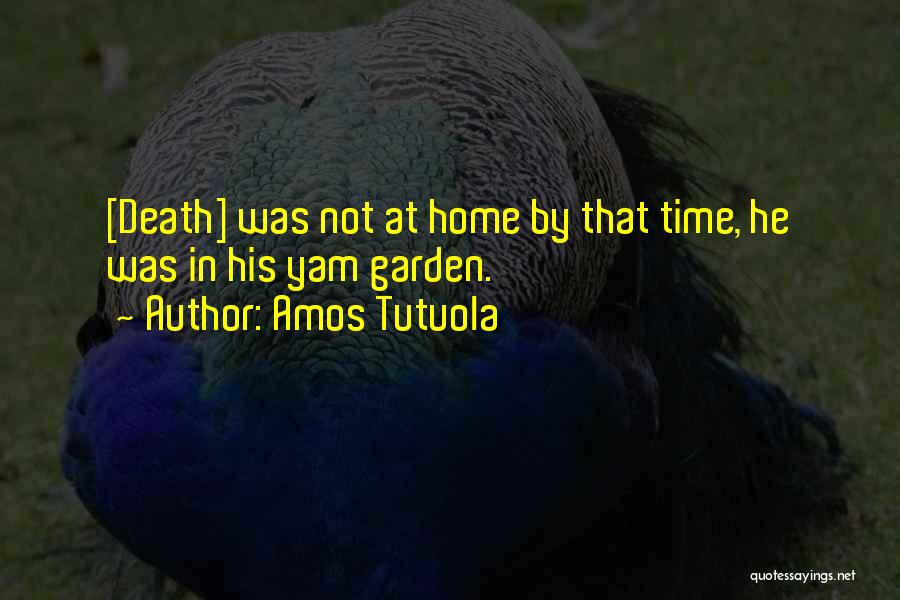 Amos Tutuola Quotes 581382