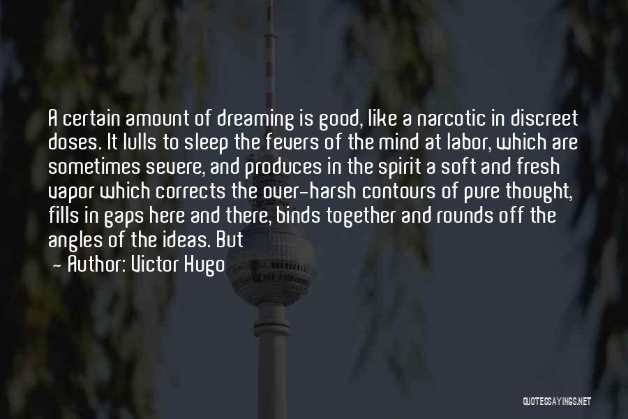 Amount Quotes By Victor Hugo