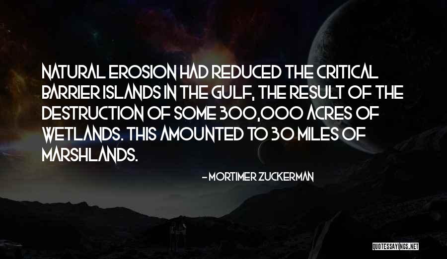 Amounted To Quotes By Mortimer Zuckerman Amounted To Quotes By Mortimer Zuckerman