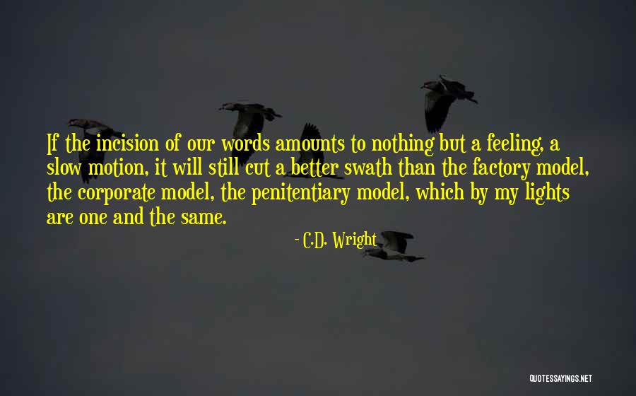Amounts In Words Quotes By C.D. Wright Amounts In Words Quotes By C.D. Wright