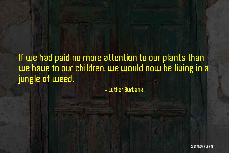 Amounts In Words Quotes By Luther Burbank Amounts In Words Quotes By Luther Burbank