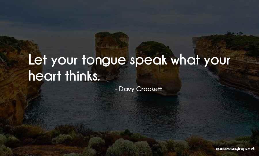 Amoussou Sena Quotes By Davy Crockett Amoussou Sena Quotes By Davy Crockett