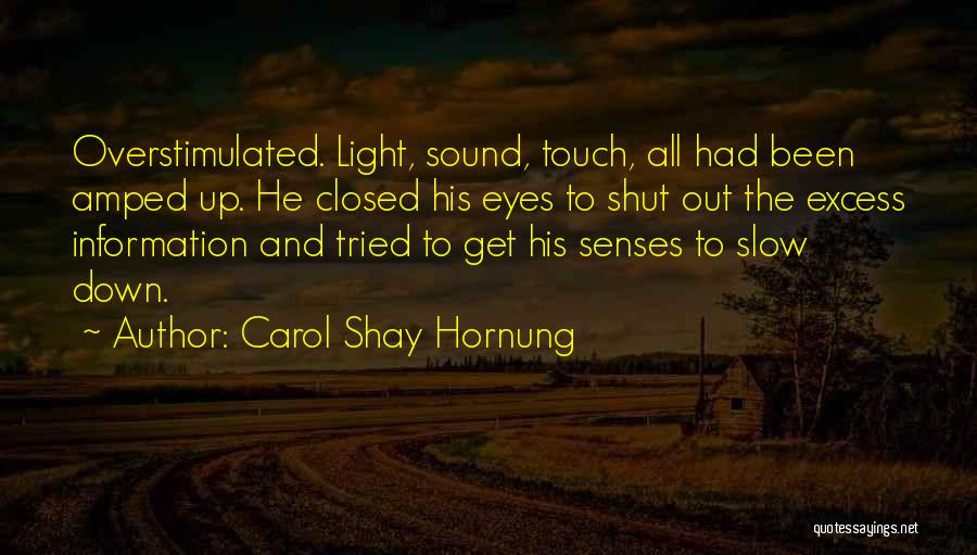 Amped Up Quotes By Carol Shay Hornung