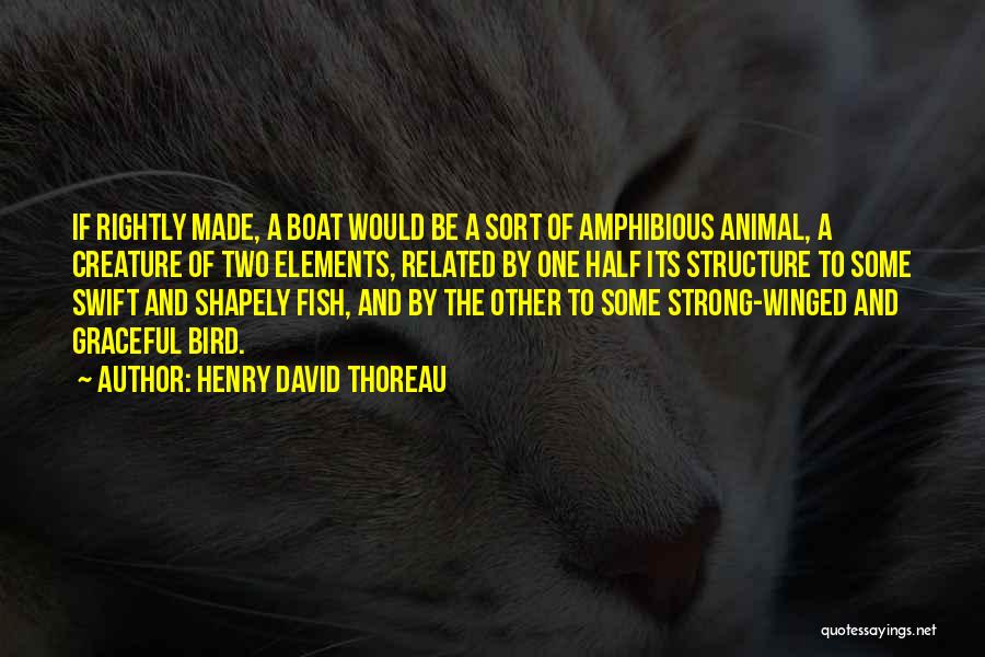 Amphibious Quotes By Henry David Thoreau