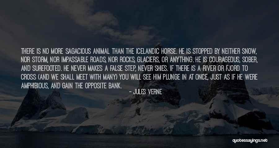 Amphibious Quotes By Jules Verne