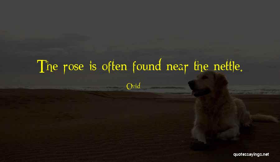 Amphitheater St Quotes By Ovid