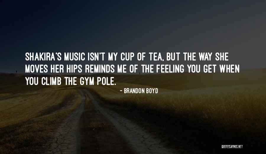 Ampleur Synonyme Quotes By Brandon Boyd Ampleur Synonyme Quotes By Brandon Boyd