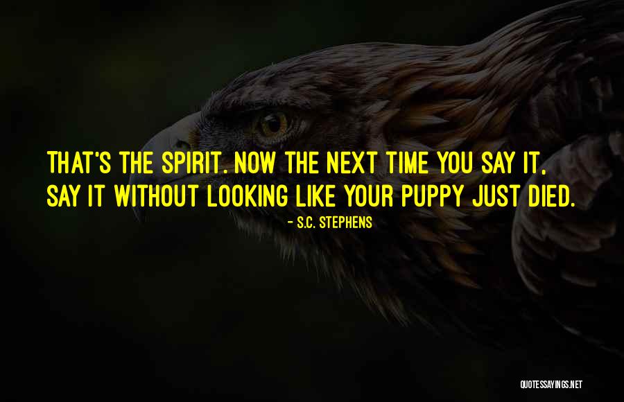 Ampliar Pantalla Quotes By S.C. Stephens Ampliar Pantalla Quotes By S.C. Stephens