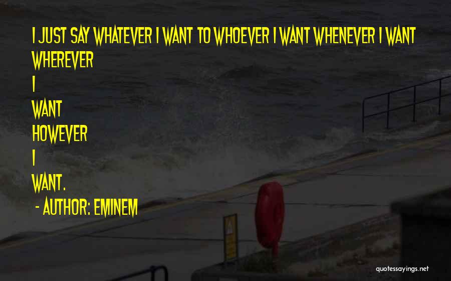 Amplification Synonym Quotes By Eminem