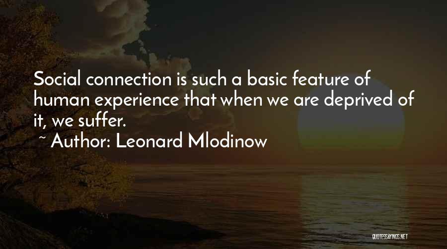 Amplification Synonym Quotes By Leonard Mlodinow