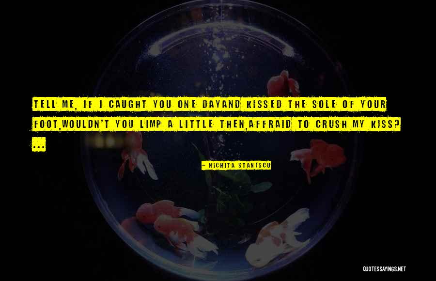 Amplifiers Tv Quotes By Nichita Stanescu Amplifiers Tv Quotes By Nichita Stanescu