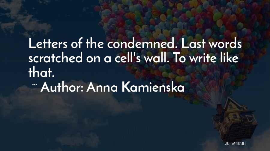 Amplify Curriculum Quotes By Anna Kamienska