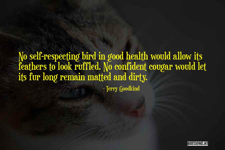 Amplius Bermuda Quotes By Terry Goodkind Amplius Bermuda Quotes By Terry Goodkind