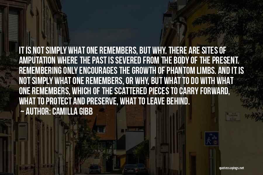 Amputation Quotes By Camilla Gibb