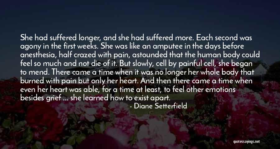 Amputee Quotes By Diane Setterfield