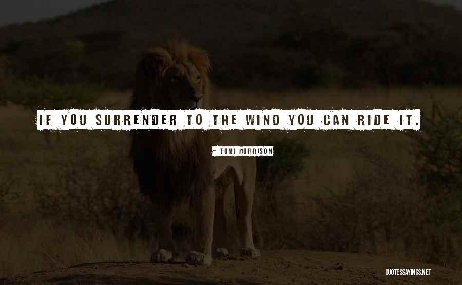 Amrik Chand Quotes By Toni Morrison Amrik Chand Quotes By Toni Morrison