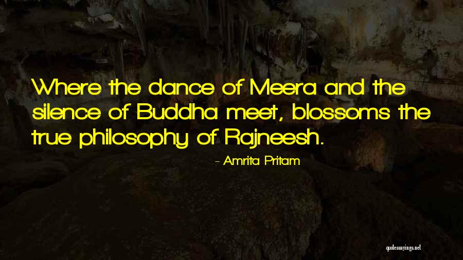 Amrita Pritam Quotes 646974