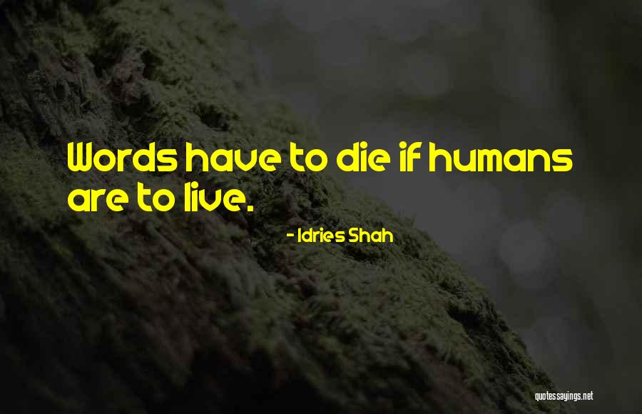 Amritanandamayi 300 Quotes By Idries Shah Amritanandamayi 300 Quotes By Idries Shah