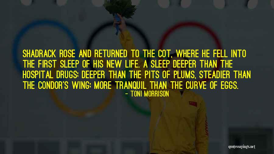Amritlal Dave Quotes By Toni Morrison Amritlal Dave Quotes By Toni Morrison