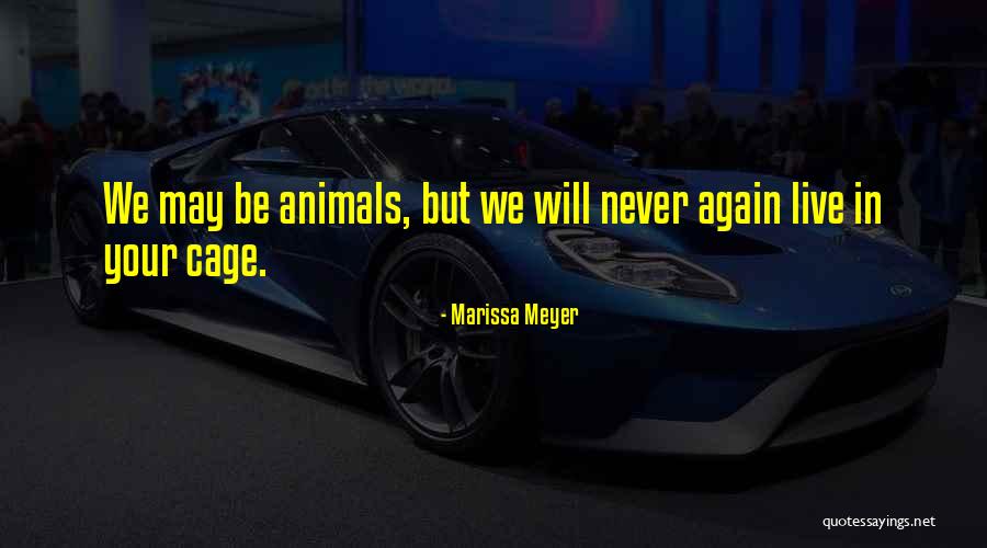 Amritraj Producer Quotes By Marissa Meyer Amritraj Producer Quotes By Marissa Meyer