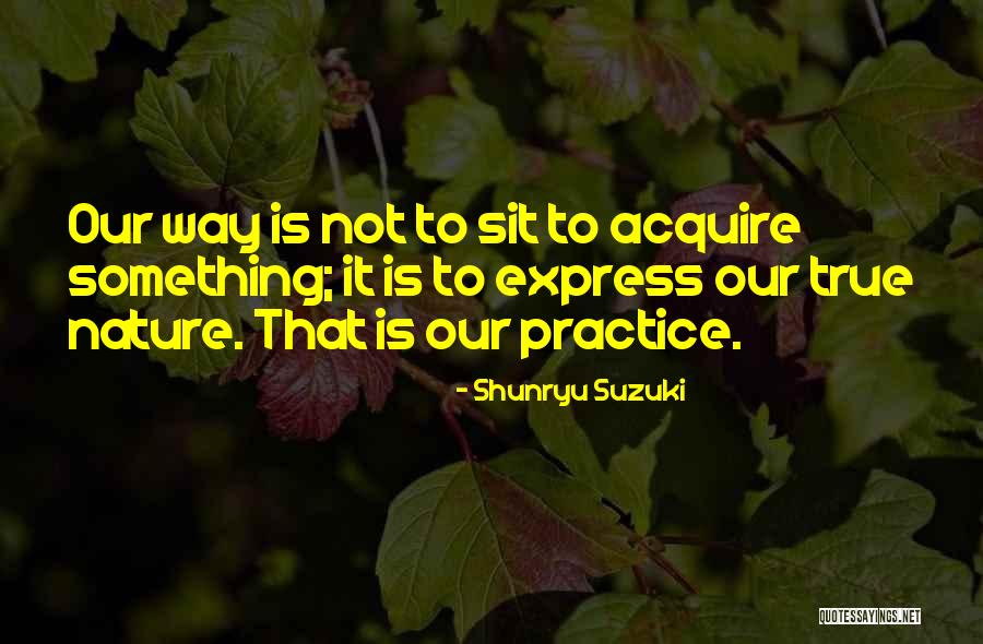 Amsden Quotes By Shunryu Suzuki Amsden Quotes By Shunryu Suzuki