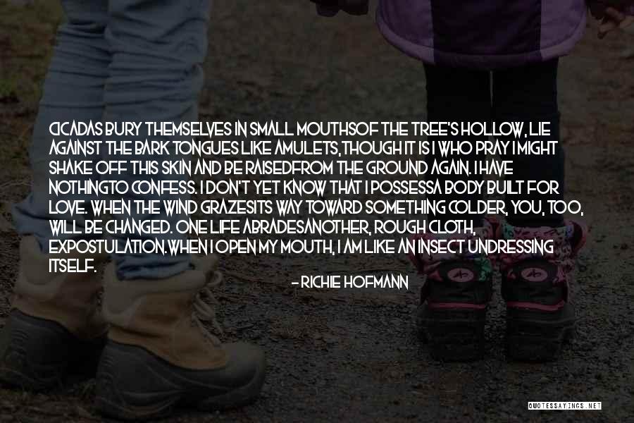 Amulets Quotes By Richie Hofmann Amulets Quotes By Richie Hofmann