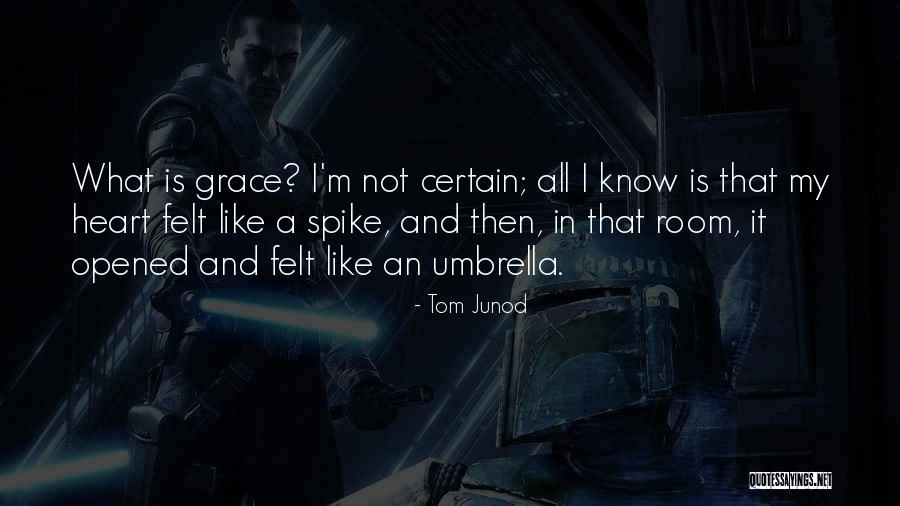Amusement And Water Quotes By Tom Junod Amusement And Water Quotes By Tom Junod
