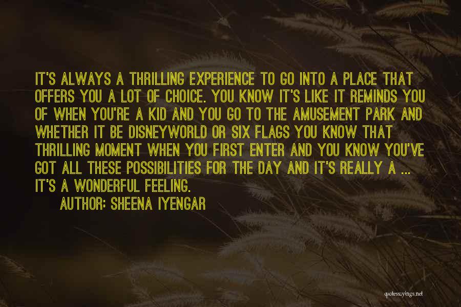 Amusement Park Quotes By Sheena Iyengar