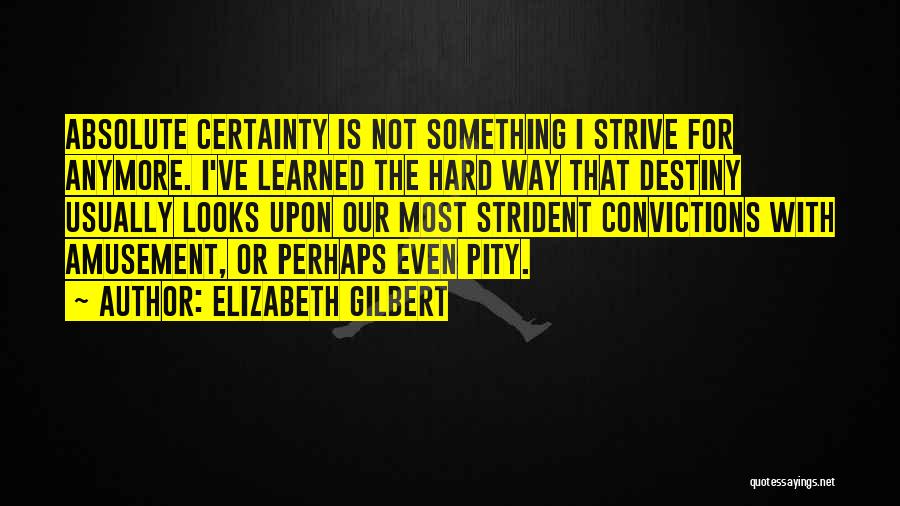 Amusement Quotes By Elizabeth Gilbert
