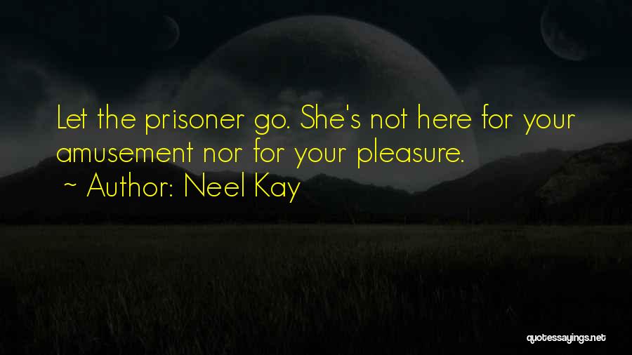 Amusement Quotes By Neel Kay